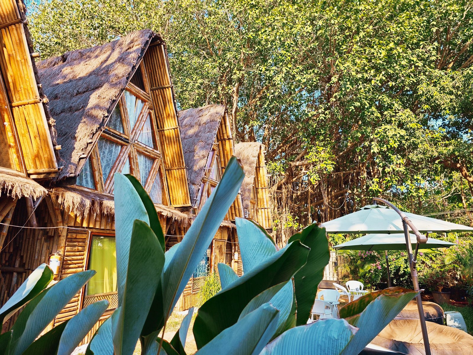 Completed bamboo cottage project